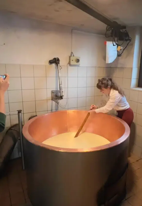 HandsOnCheesemaking_SocaValley-980x980